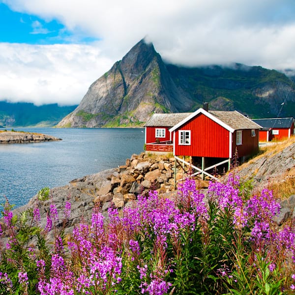 Nordic Roadtrip: Lofoten & Inselabenteuer Senja